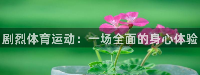 3377体育官网入口网页版：剧烈体育运动：一场全面的身心体验