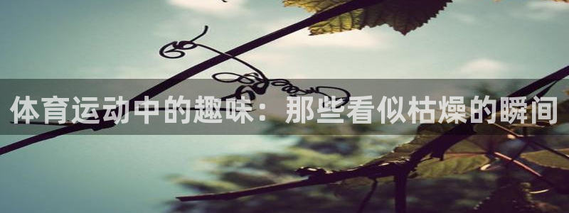 3377体育app下载安装：体育运动中的趣味：那些看似枯燥的瞬间