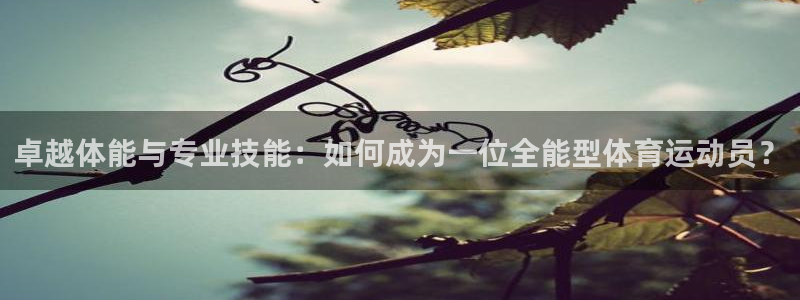3377体育是正规的吗