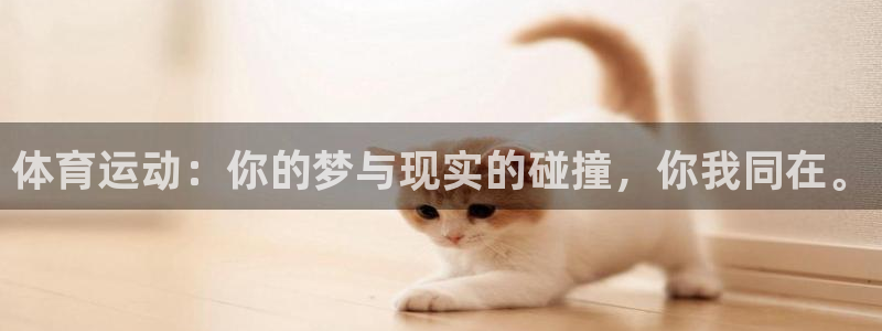 3377体育手机平台
