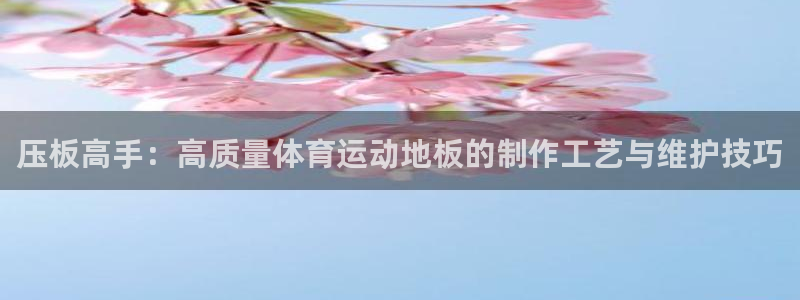 3377体育官网入口下载最新