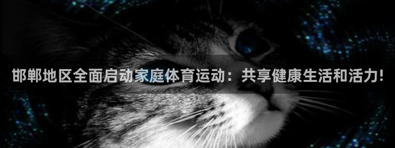 3377体育官网入口网页版