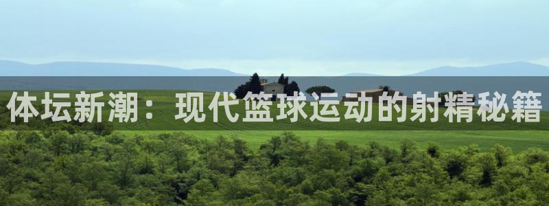 3377体育官网入口下载最新：体坛新潮：现代篮球运动的射精秘籍