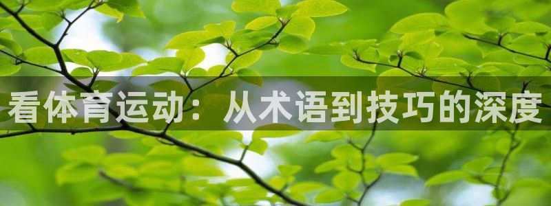 3377体育app下载安装：看体育运动：从术语到技巧的深度