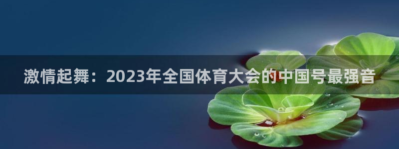 3377体育官网：激情起舞：2023年全国体育大会的中国号最强音
