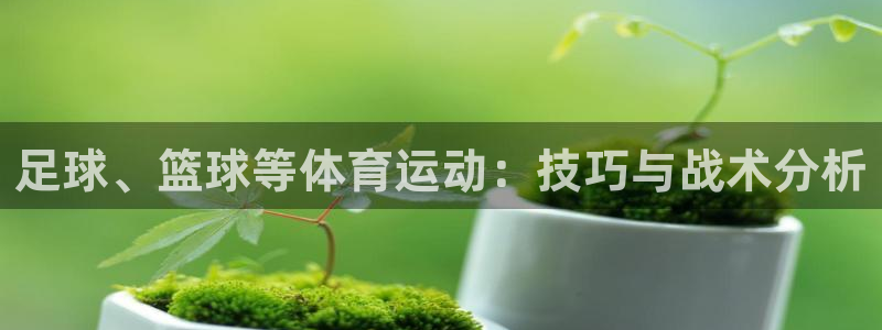 3377体育官网：足球、篮球等体育运动：技巧与战术分析