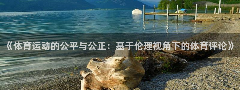 3377体育app下载安装：《体育运动的公平与公正：基于伦理视角下的体育评论》