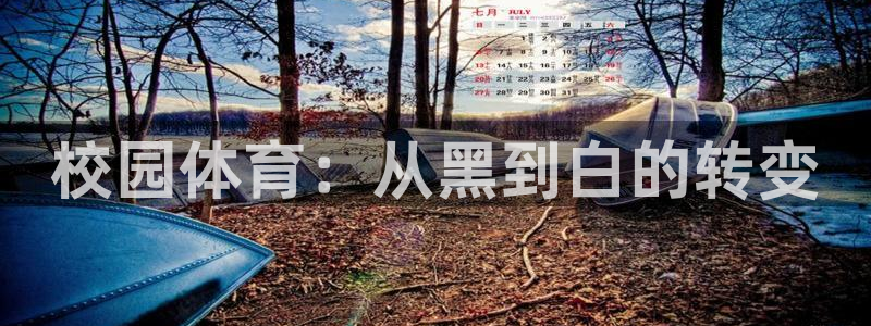 3377体育官网入口网页版：校园体育：从黑到白的转变